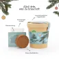 Preview: Dein Weihnachtsbaum 2033 - Anzuchtset