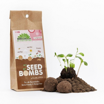 Seedbombs - Wildblumen - Samenbomben
