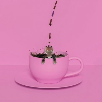 Katzen Kaffeelöffel  - 4er Set