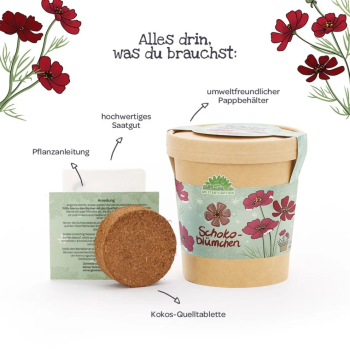 Preview: Deine Schokoblumen Anzuchtset