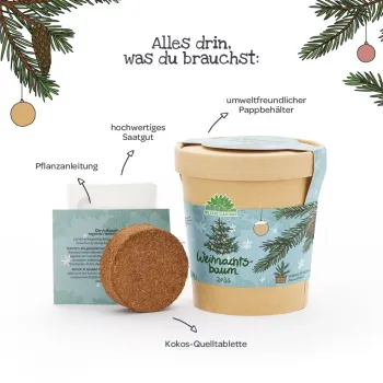 Preview: Dein Weihnachtsbaum 2033 - Anzuchtset