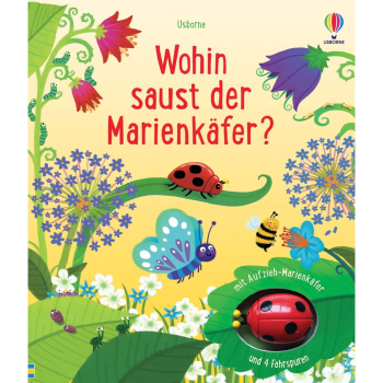 Wohin saust der Marienkäfer? Buch