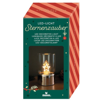 Preview: Sternenzauber - LED-Dekoleuchte silber