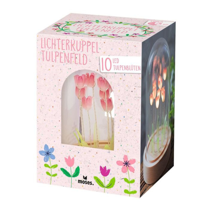 Lichterkuppel Tulpenfeld