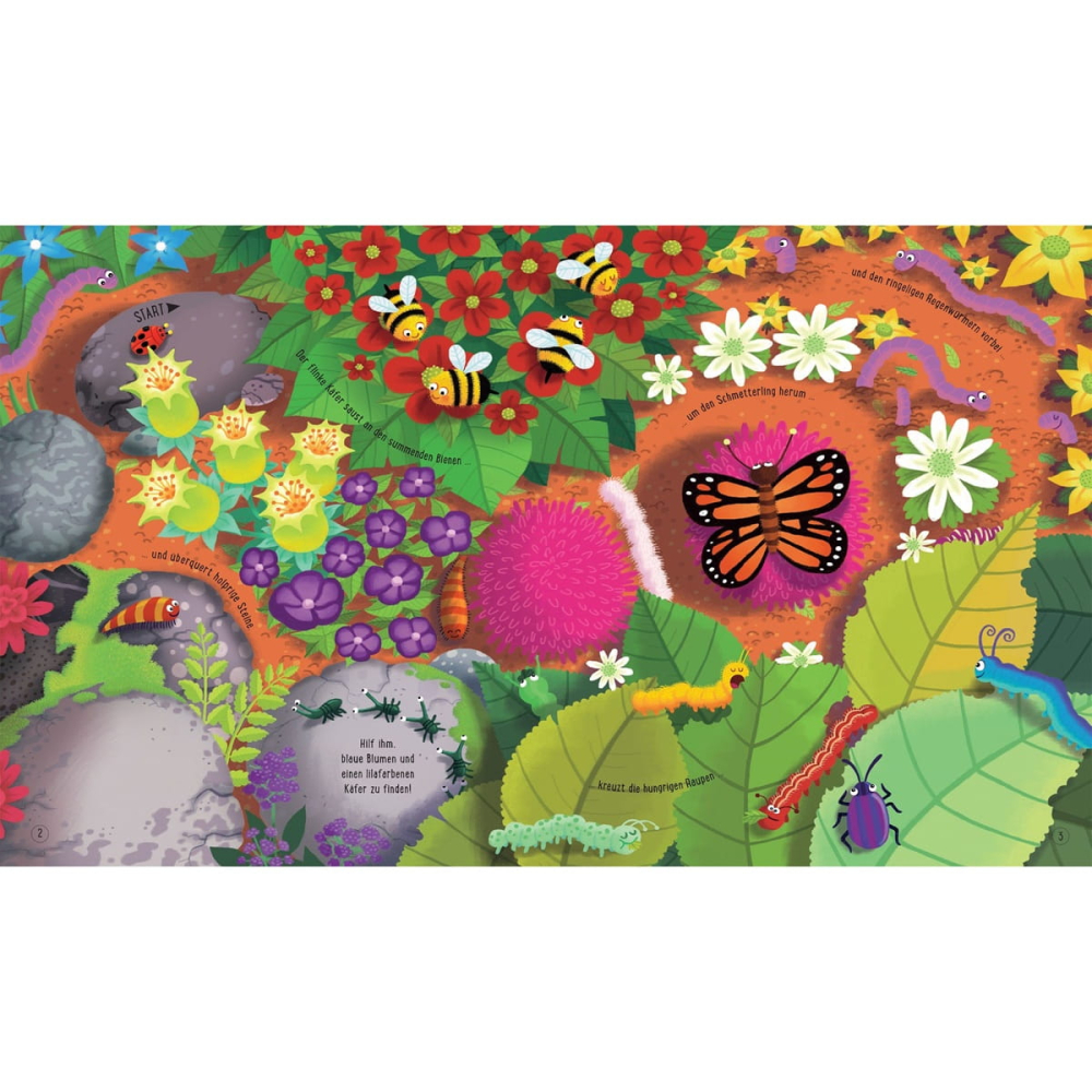 Wohin saust der Marienkäfer? - Buch